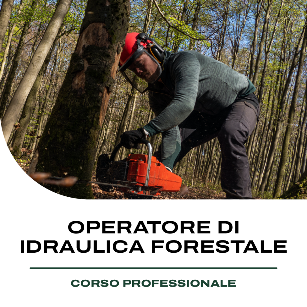 GFSERVICE_POSTLAVORO_FORESTALE